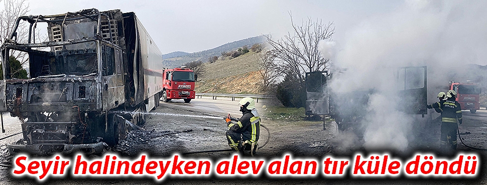 Seyir halindeyken alev alan tır küle döndü