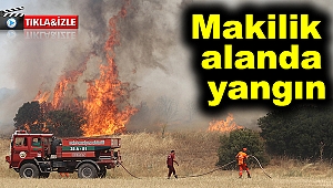 Kula’da makilik alanda yangın; soğutma çalışmaları sürüyor