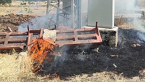 Trafoya kuş çarptı, alevler kısa sürede söndürüldü