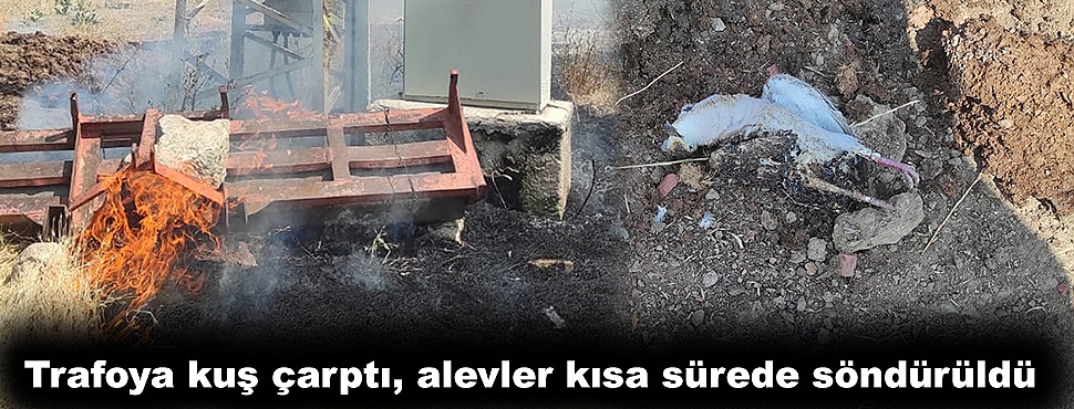 Trafoya kuş çarptı, alevler kısa sürede söndürüldü