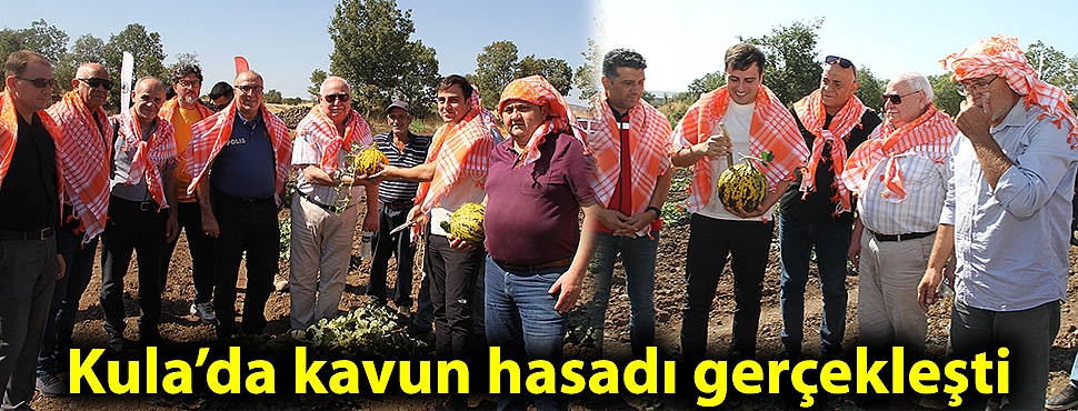 Kula’da kavun hasadı gerçekleşti
