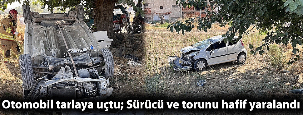 Otomobil tarlaya uçtu; Sürücü ve torunu hafif yaralandı