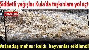 Şiddetli yağışlar Kula’da taşkınlara yol açtı; vatandaş mahsur kaldı, hayvanlar etkilendi
