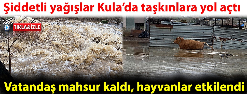 Şiddetli yağışlar Kula’da taşkınlara yol açtı; vatandaş mahsur kaldı, hayvanlar etkilendi