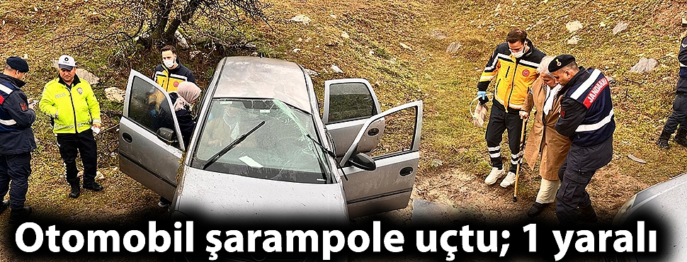 Otomobil şarampole uçtu; 1 yaralı