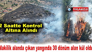 Makilik alanda çıkan yangında 30 dönüm alan kül oldu