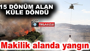 Makilik alanda yangın: 15 dönüm alan küle döndü