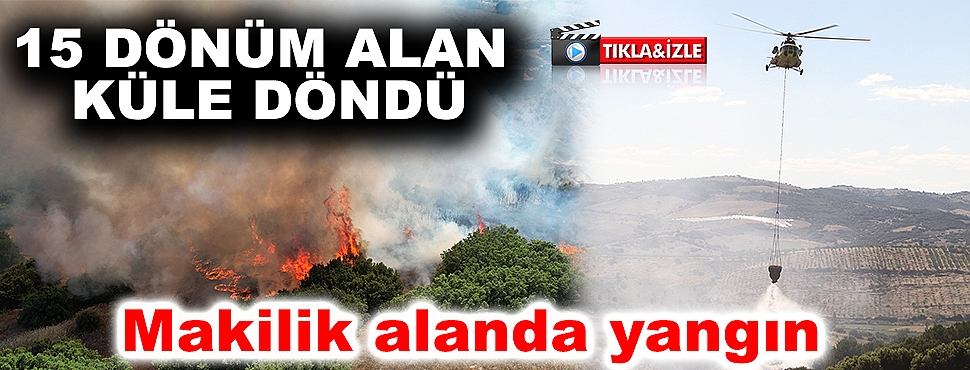 Makilik alanda yangın: 15 dönüm alan küle döndü